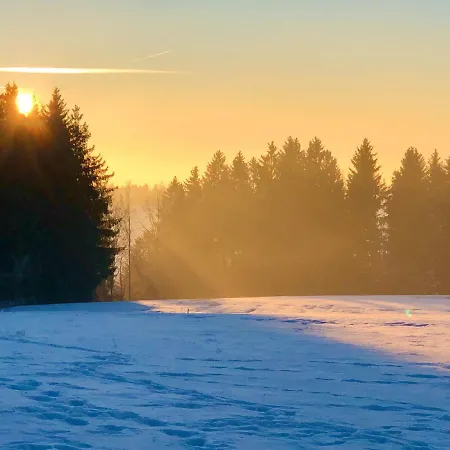 Apartamento Pfaffensteghof Rickenbach (Baden-Wurttemberg)