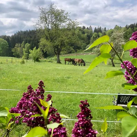 Apartamento Pfaffensteghof Rickenbach (Baden-Wurttemberg)