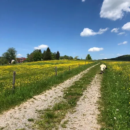 Daire Pfaffensteghof